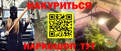 индика Нальчик