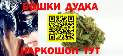 индика Нальчик