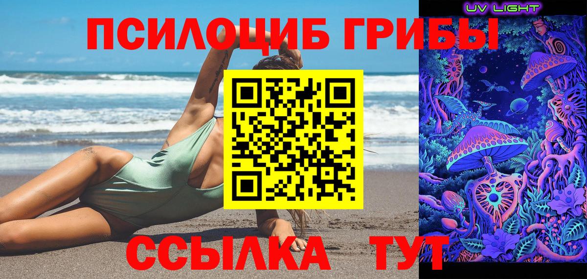 Галлюциногенные грибы ЛСД  Вход с VPN  Галлюциногенные грибы ЛСД  Торжок 