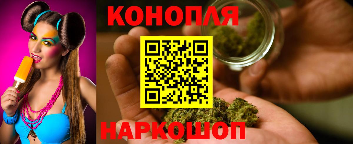 Конопля сатива Торжок